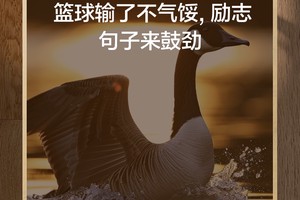  为什么激励对篮球运动员的心理发展至关重要